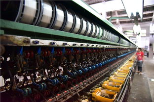 工業(yè)遺存煥新顏 珠三角繅絲廠(chǎng)變身廣東首家蠶桑絲織研學(xué)基地